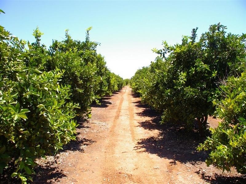 LOT 2 Rawnsley Road, Barmera SA 5345