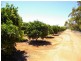 LOT 2 Rawnsley Road, Barmera SA 5345