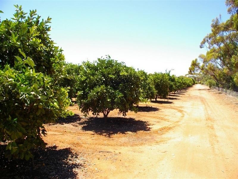 LOT 2 Rawnsley Road, Barmera SA 5345