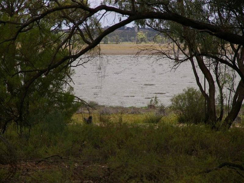942 Thiele Road, Barmera SA 5345