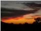 942 Thiele Road, Barmera SA 5345