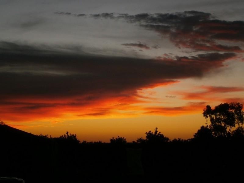 942 Thiele Road, Barmera SA 5345