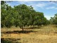 Lot 6/ Murtho Road, Paringa SA 5340