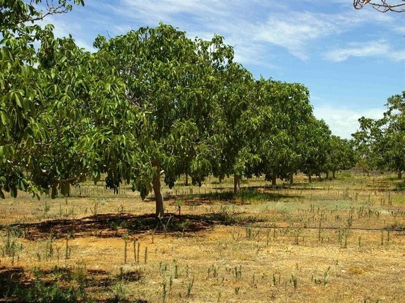 Lot 6/ Murtho Road, Paringa SA 5340