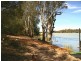 Lot 6/ Murtho Road, Paringa SA 5340