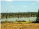 79 Hughes Avenue, Paringa SA 5340