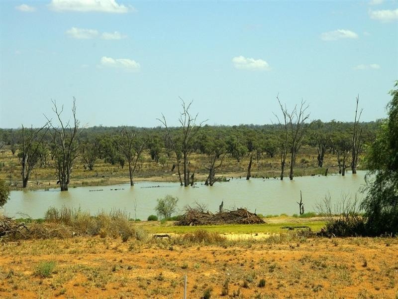 79 Hughes Avenue, Paringa SA 5340