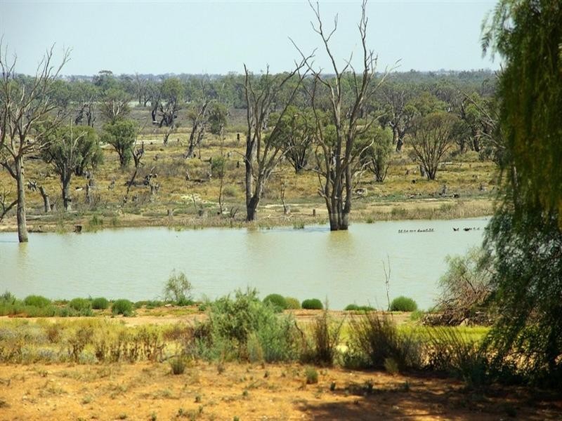 79 Hughes Avenue, Paringa SA 5340