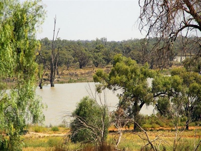 79 Hughes Avenue, Paringa SA 5340
