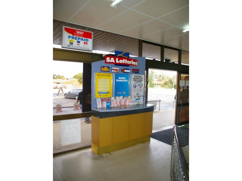 11 Mortimer Road, Berri SA 5343