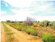 LOT 45 Ibis Road, Renmark SA 5341