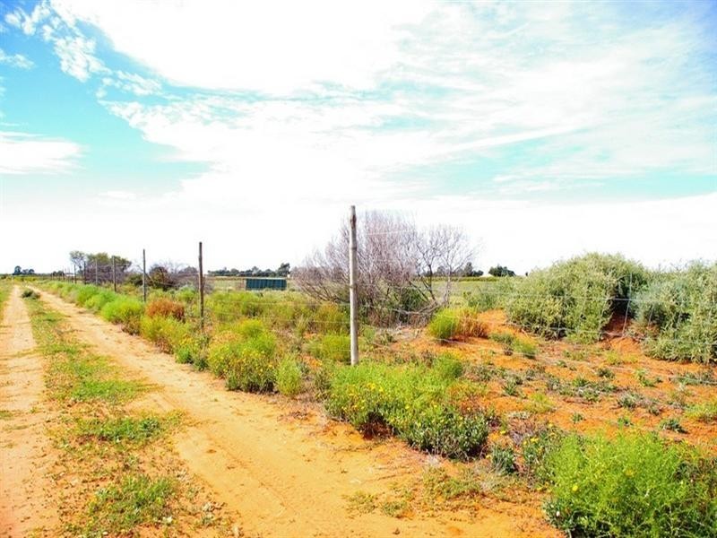 LOT 45 Ibis Road, Renmark SA 5341