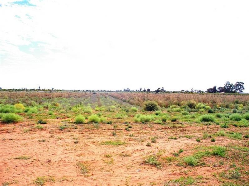 LOT 45 Ibis Road, Renmark SA 5341