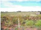 LOT 45 Ibis Road, Renmark SA 5341