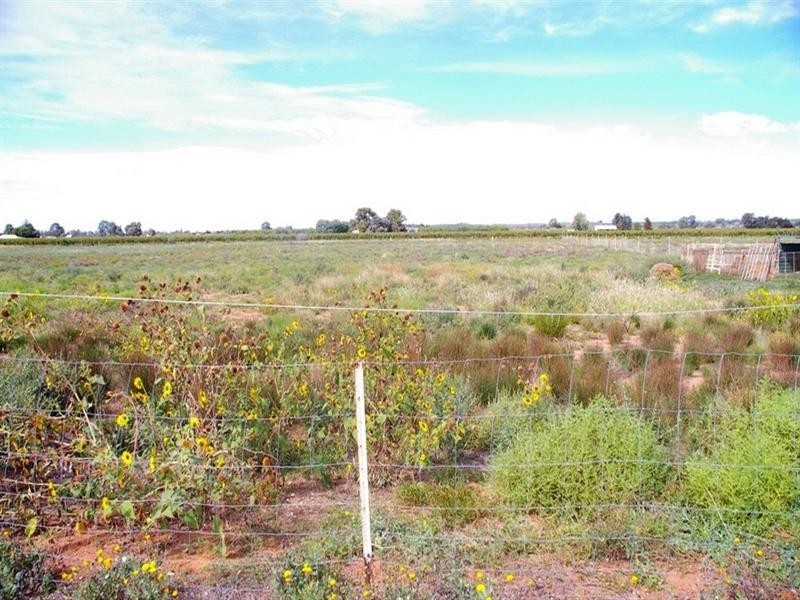 LOT 45 Ibis Road, Renmark SA 5341