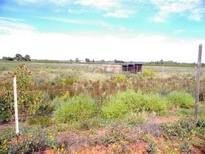 LOT 45 Ibis Road, Renmark SA 5341