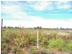 LOT 45 Ibis Road, Renmark SA 5341