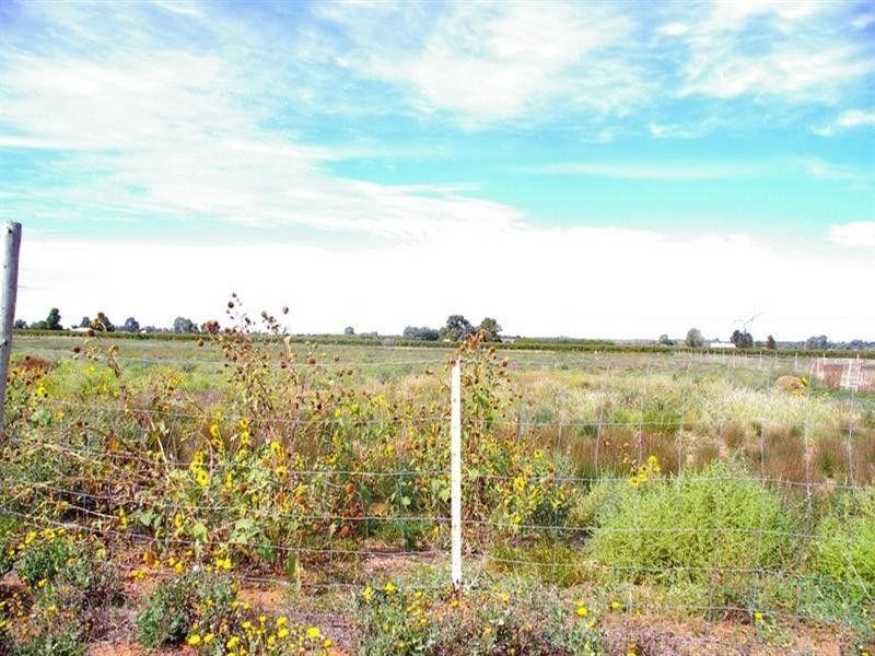 LOT 45 Ibis Road, Renmark SA 5341