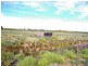 LOT 45 Ibis Road, Renmark SA 5341