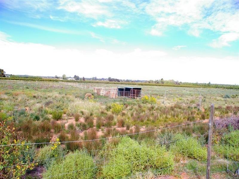 LOT 45 Ibis Road, Renmark SA 5341
