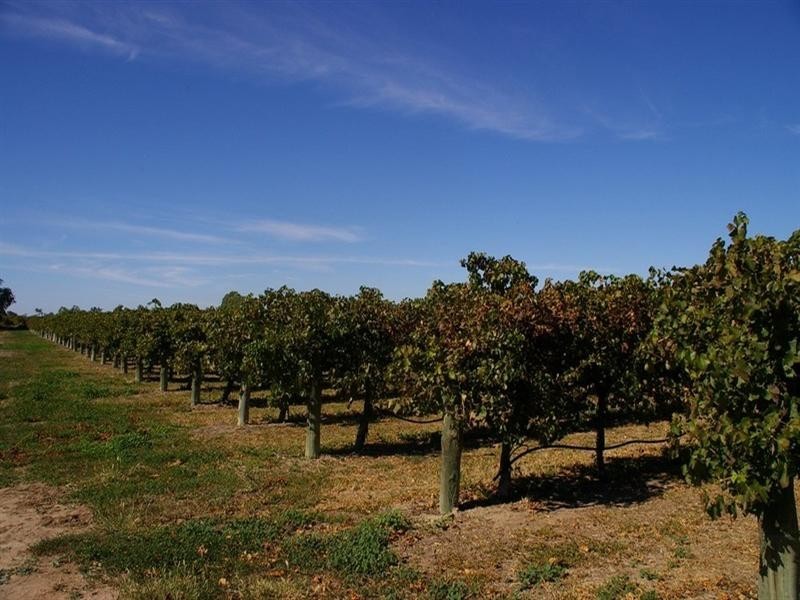 LOT 2 Twentythird Street, Renmark SA 5341