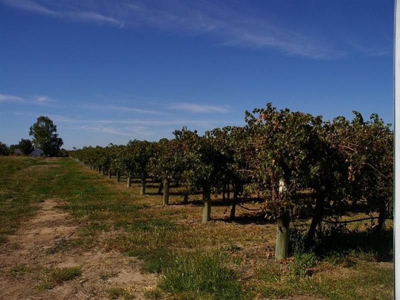 LOT 2 Twentythird Street, Renmark SA 5341