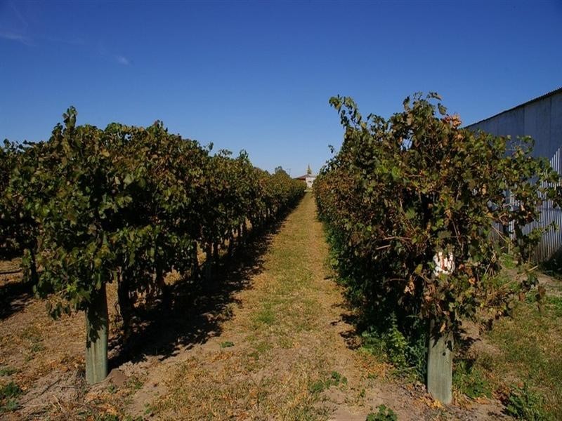 LOT 2 Twentythird Street, Renmark SA 5341