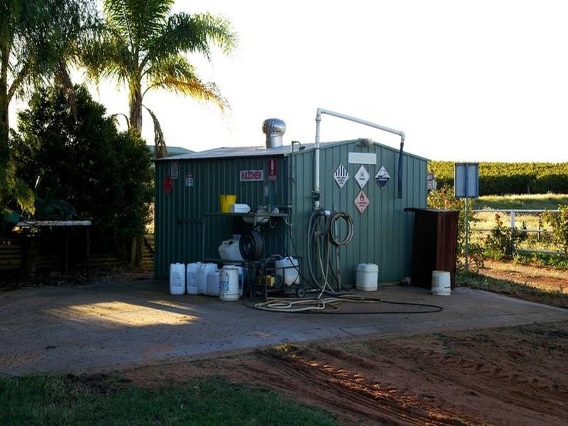126 Cooltong Avenue, Renmark SA 5341