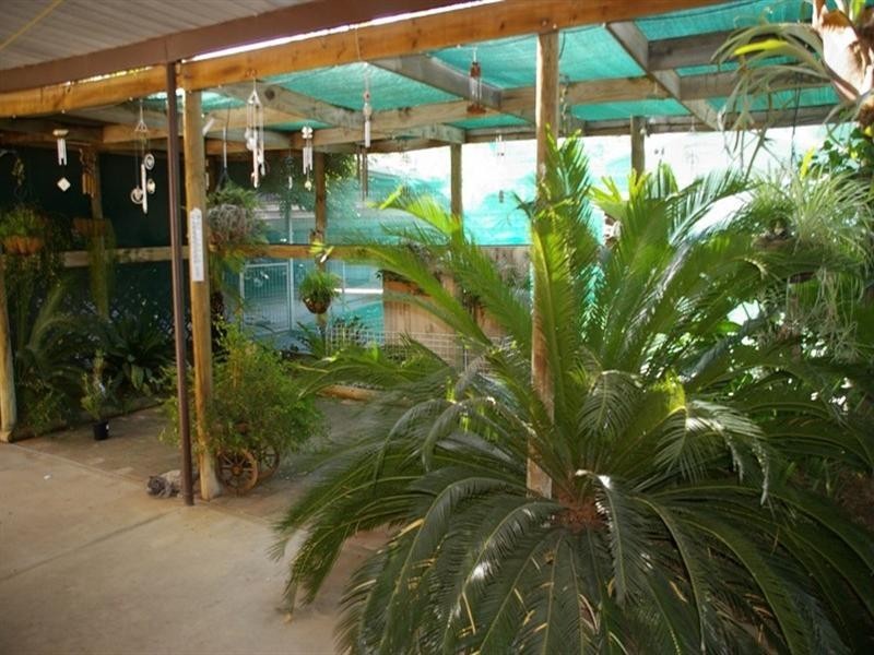 43 Railway Terrace, Paringa SA 5340