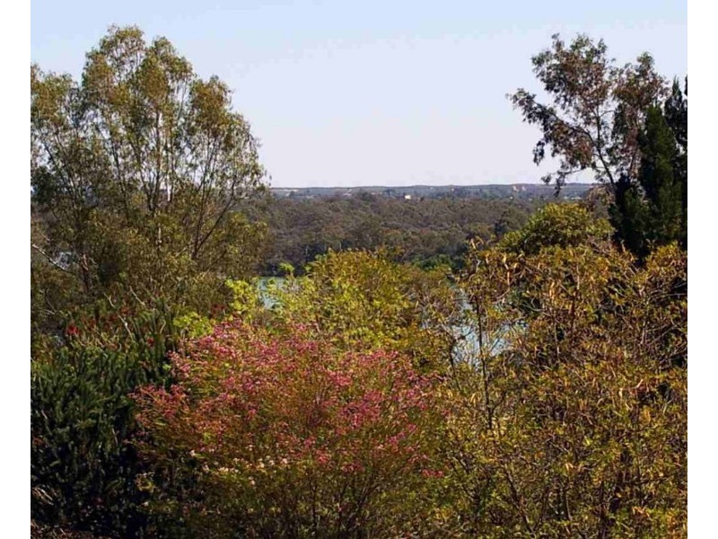 9 Shepherd Drive, Paringa SA 5340