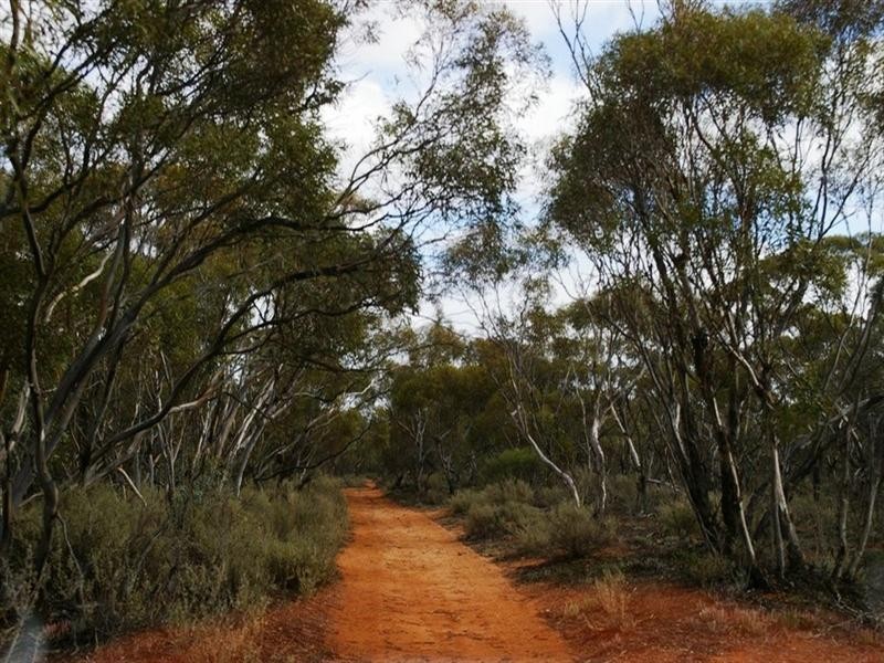 121 West Road, Glossop SA 5344