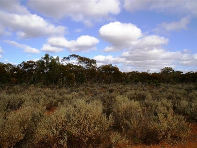 121 West Road, Glossop SA 5344