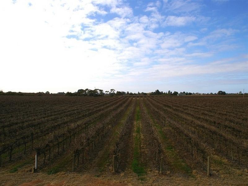 524 Government Road, Renmark SA 5341