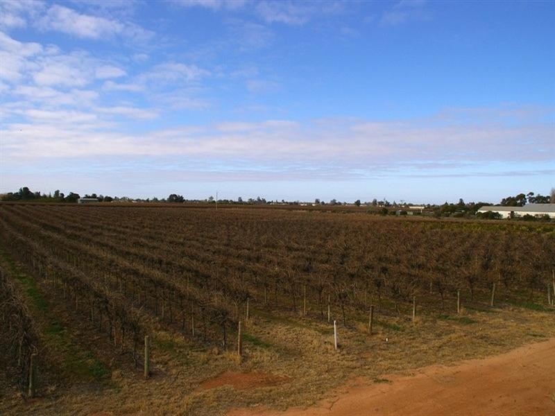 524 Government Road, Renmark SA 5341