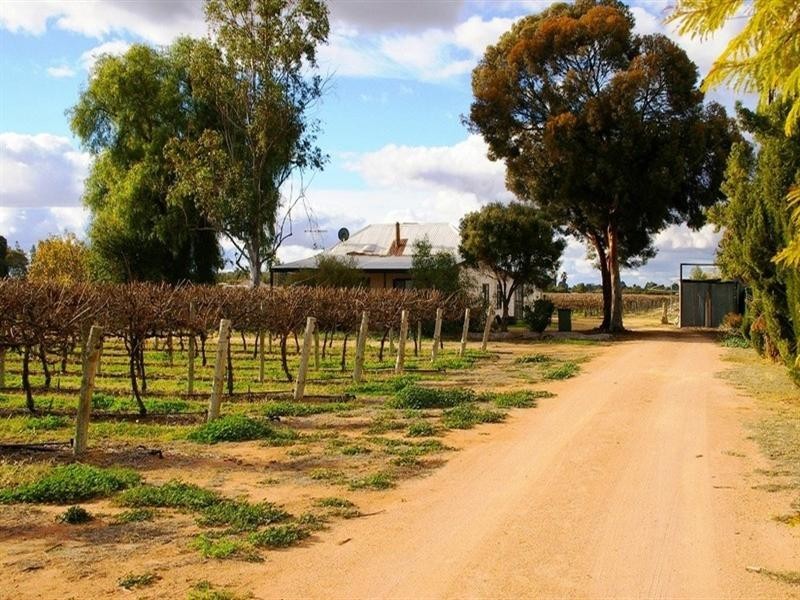 29 Twentyseventh Street, Renmark SA 5341