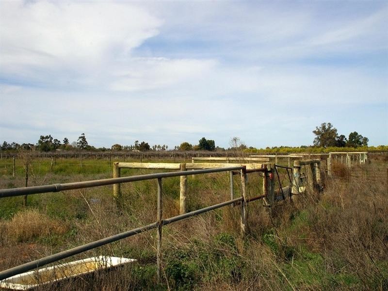 381 Kulkyne Street, Renmark SA 5341