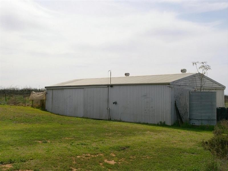 381 Kulkyne Street, Renmark SA 5341