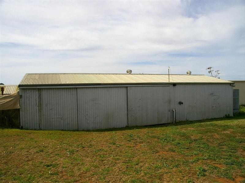 381 Kulkyne Street, Renmark SA 5341