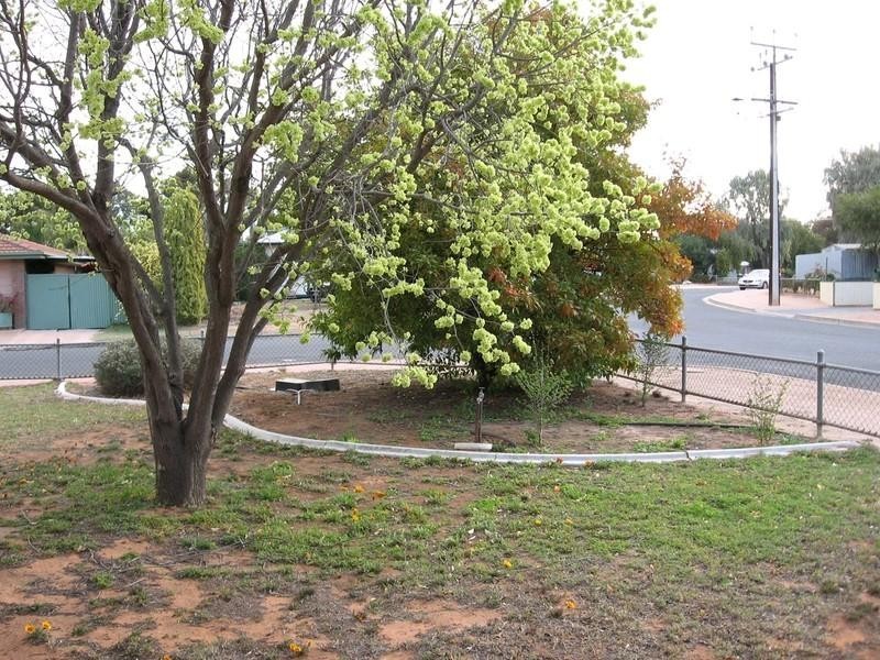 35 Acacia Crescent, Renmark SA 5341