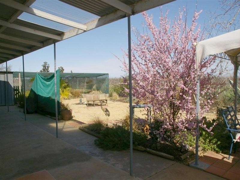 464 Kulkyne Street, Renmark SA 5341