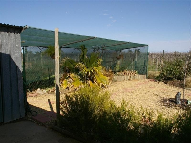 464 Kulkyne Street, Renmark SA 5341