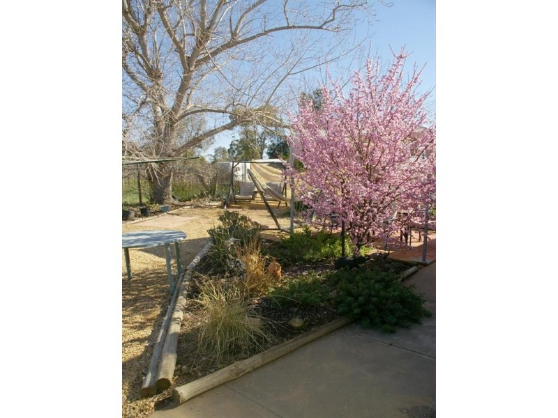 464 Kulkyne Street, Renmark SA 5341