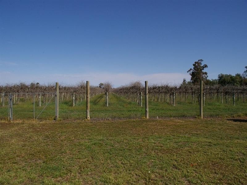 464 Kulkyne Street, Renmark SA 5341