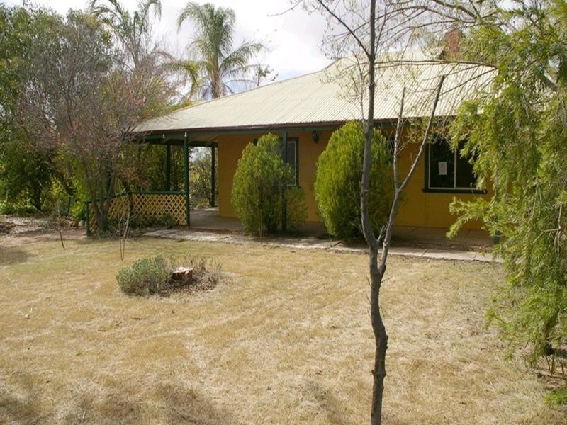 125 Etiwanda Street, Renmark SA 5341