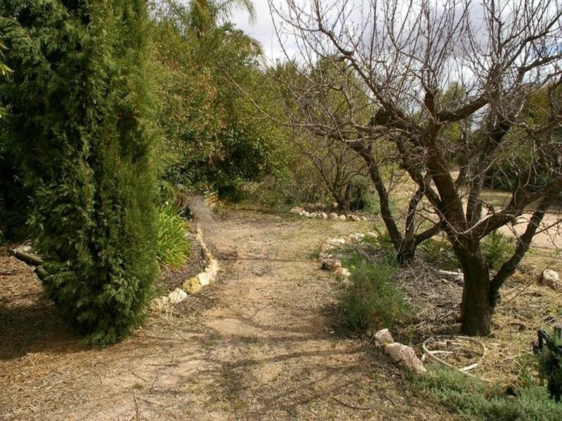 125 Etiwanda Street, Renmark SA 5341