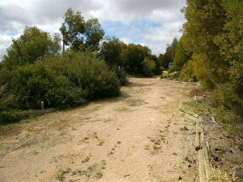 125 Etiwanda Street, Renmark SA 5341