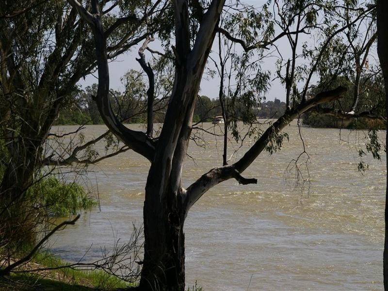 225 Gurra Road, Berri SA 5343