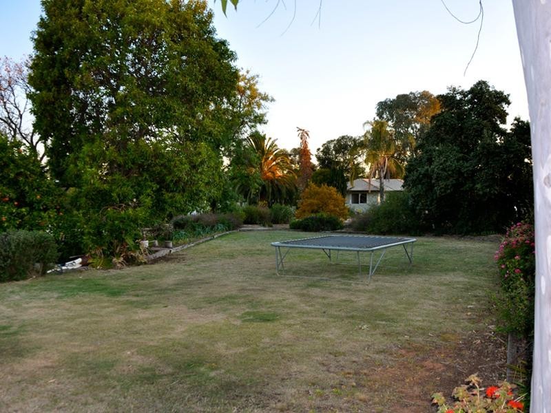 2 Myall Street, Renmark SA 5341