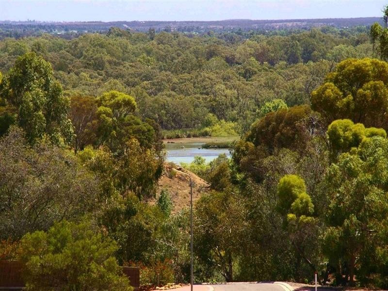 29 Shepherd Drive, Paringa SA 5340