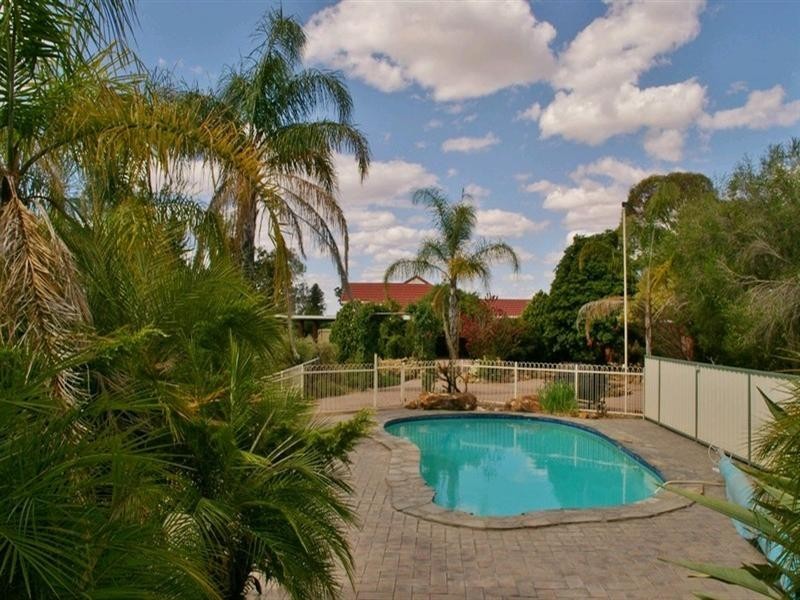 214 Paroo Street, Renmark SA 5341